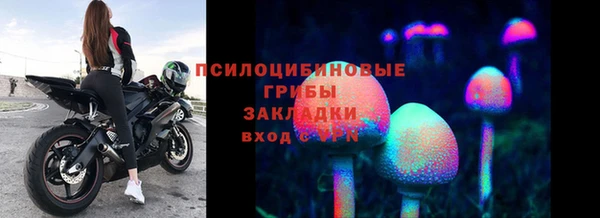 прущая мука Алзамай