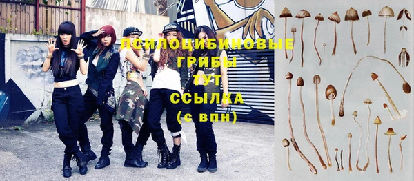 сатива Наволоки
