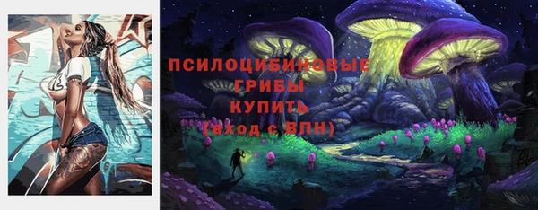 прущая мука Алзамай