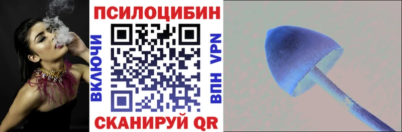 наркотики  Красноуральск  KRAKEN как зайти  Галлюциногенные грибы Psilocybe 